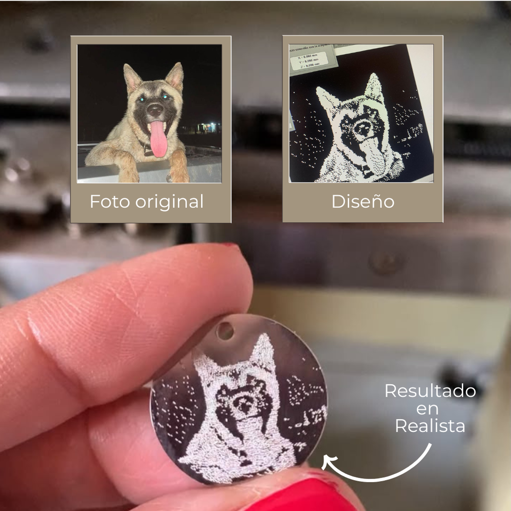 Collar Circular-Fotografía (Ilustración)